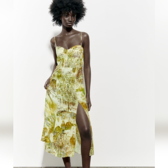Zara Dresses & Skirts - Zara printed corset midi dress
